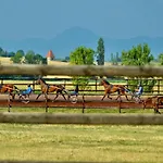 Le Petit Paddock Villeneuve-les-Cerfs
