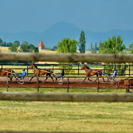 Le Petit Paddock Villeneuve-les-Cerfs