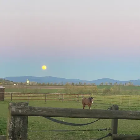 Le Petit Paddock Villeneuve-les-Cerfs