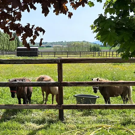 Le Petit Paddock * Villeneuve-les-Cerfs