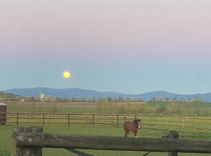 Le Petit Paddock Villeneuve-les-Cerfs
